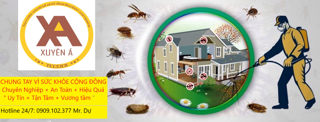 Xử lý côn trùng Xuyên Á
