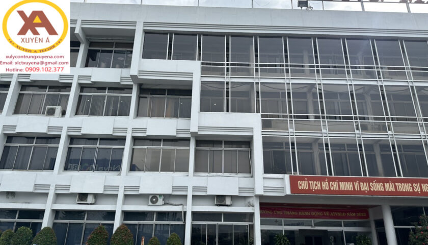 Kiểm soát và diệt trừ côn trùng và mối mọt tại cảng vụ hàng không Mền Nam