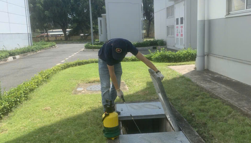 Xử lý côn trùng Khu công nghiệp Phong Phú