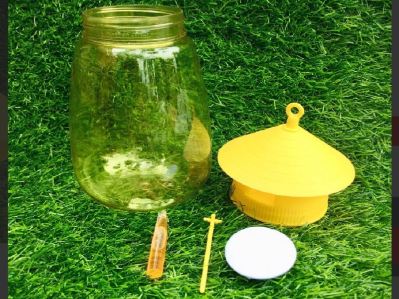 cách diệt ruồi trong quán ăn