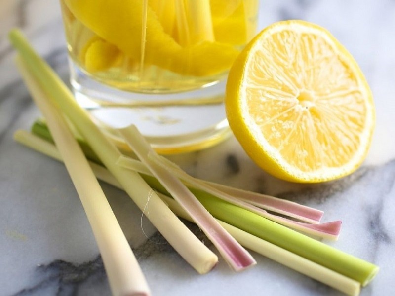 cách diệt ruồi trong quán ăn