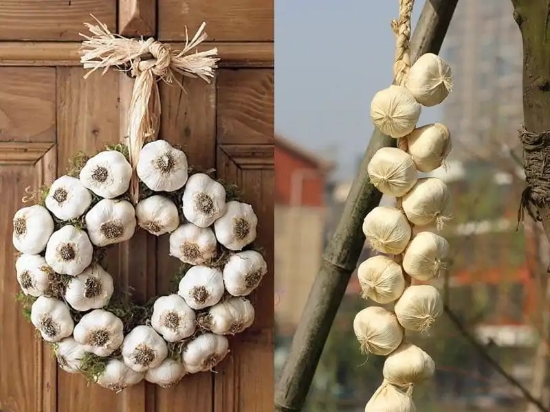cách tiêu diệt ong ruồi