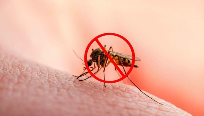 cách diệt muỗi tận gốc