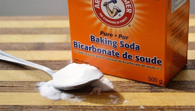 cách diệt kiến gió trên giường