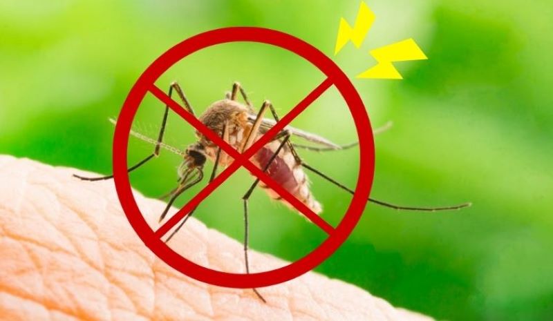 cách diệt muỗi trong nhà